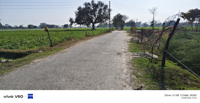  5 Bigha Residential Plot for Sale in Etmadpur, Agra