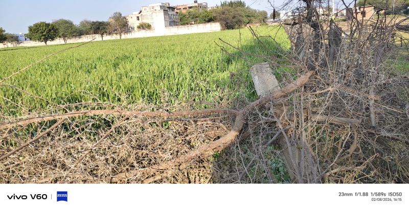  11 Bigha Residential Plot for Sale in Etmadpur, Agra