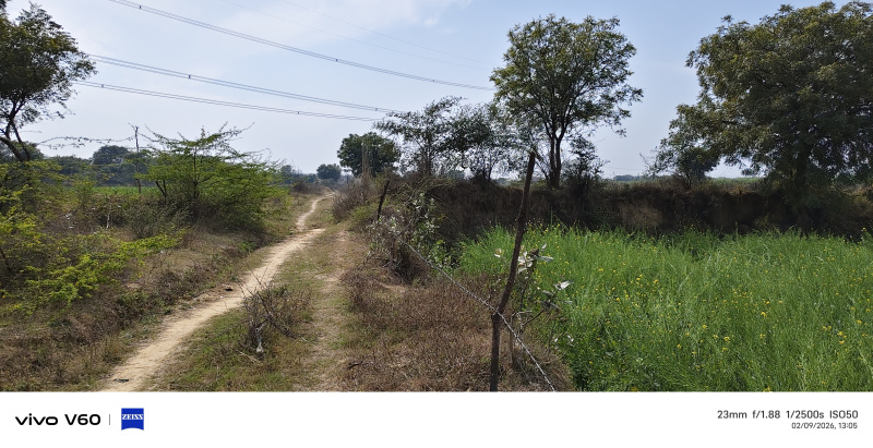  7 Bigha Residential Plot for Sale in NH 2, Agra