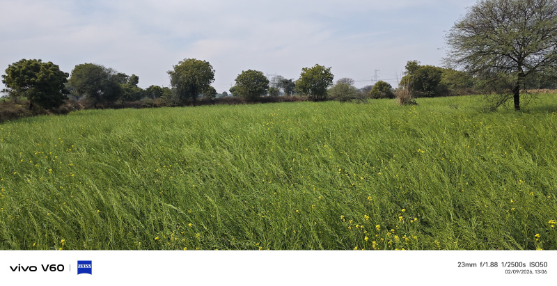  7 Bigha Residential Plot for Sale in NH 2, Agra