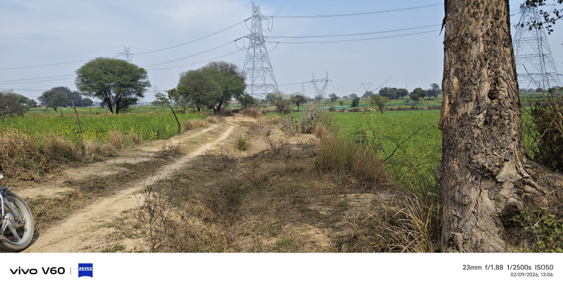  7 Bigha Residential Plot for Sale in NH 2, Agra