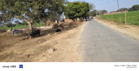  Residential Plot for Sale in Bharatpur House, Agra