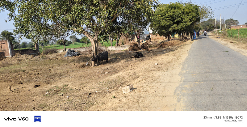  2000 Sq. Yards Residential Plot for Sale in Bharatpur House, Agra