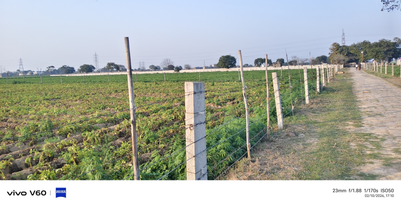  2 Bigha Residential Plot for Sale in Fatehabad Road, Agra