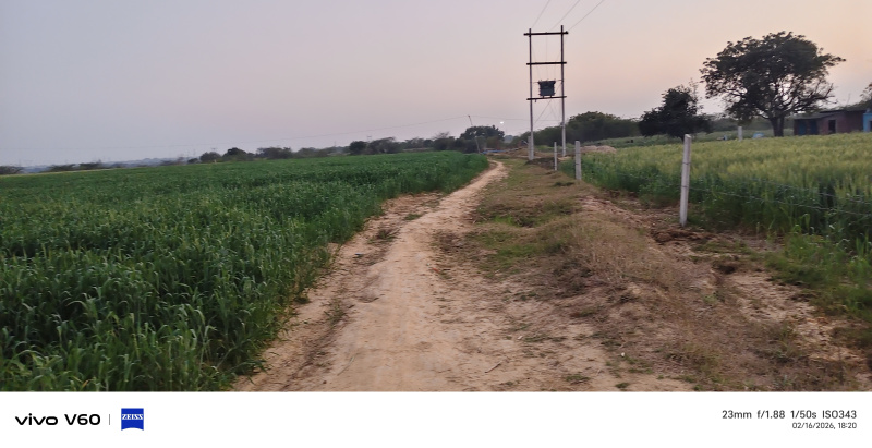  2 Bigha Residential Plot for Sale in NH 2, Agra