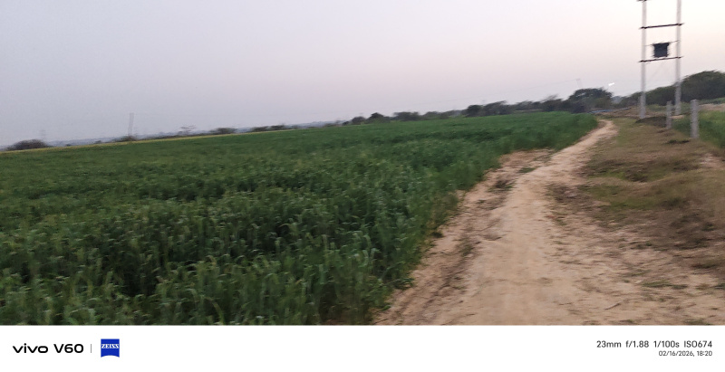  2 Bigha Residential Plot for Sale in NH 2, Agra