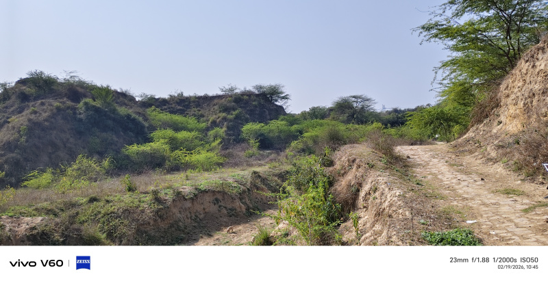  30 Bigha Agricultural/Farm Land for Sale in Bah, Agra