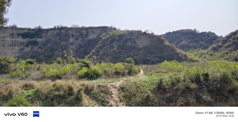  30 Bigha Agricultural/Farm Land for Sale in Bah, Agra