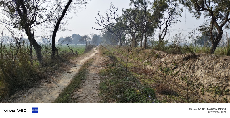  10 Bigha Agricultural/Farm Land for Sale in Etmadpur, Agra