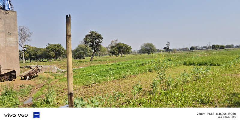  7 Bigha Agricultural/Farm Land for Sale in Fatehabad Road, Agra