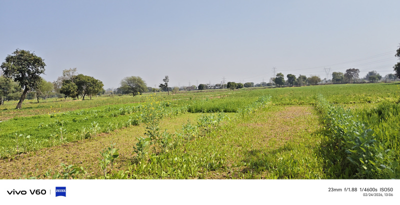  7 Bigha Agricultural/Farm Land for Sale in Fatehabad Road, Agra