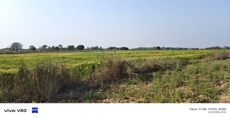  15 Bigha Agricultural/Farm Land for Sale in Fatehabad Road, Agra