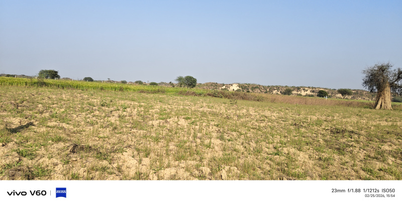  15 Bigha Agricultural/Farm Land for Sale in Fatehabad Road, Agra