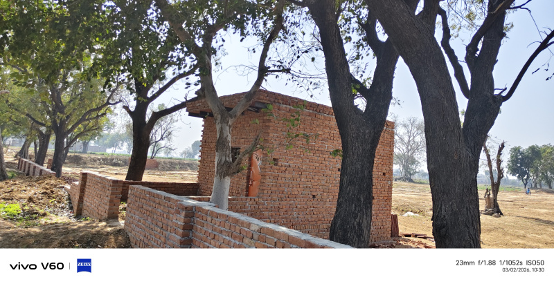  7 Bigha Agricultural/Farm Land for Sale in Khandoli, Agra
