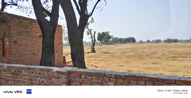  7 Bigha Agricultural/Farm Land for Sale in Khandoli, Agra
