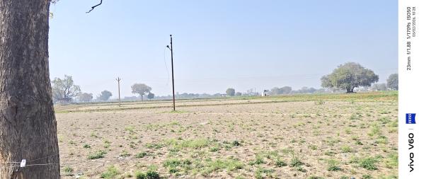  4 Bigha Agricultural/Farm Land for Sale in Khandoli, Agra