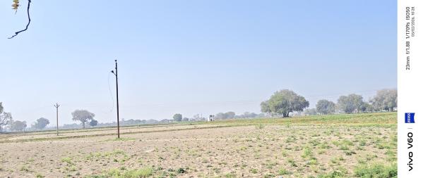  4 Bigha Agricultural/Farm Land for Sale in Khandoli, Agra