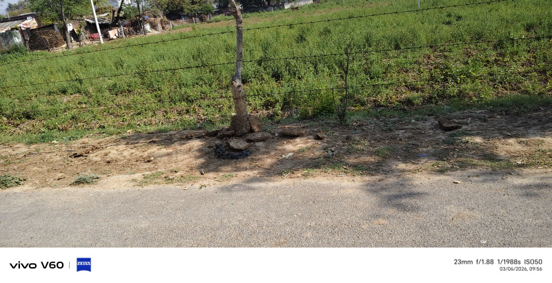  2 Bigha Agricultural/Farm Land for Sale in Fatehabad Road, Agra