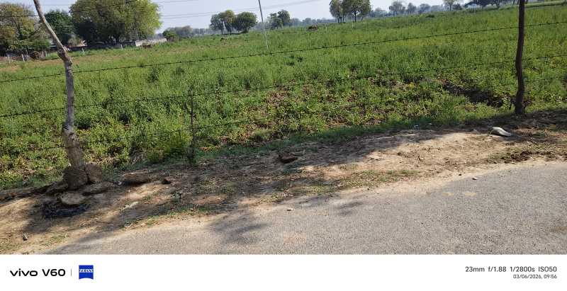 2 Bigha Agricultural/Farm Land for Sale in Fatehabad Road, Agra