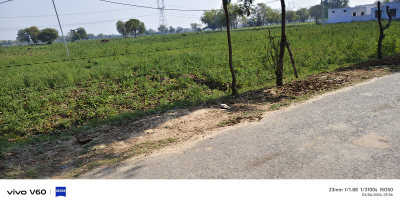  2 Bigha Agricultural/Farm Land for Sale in Fatehabad Road, Agra