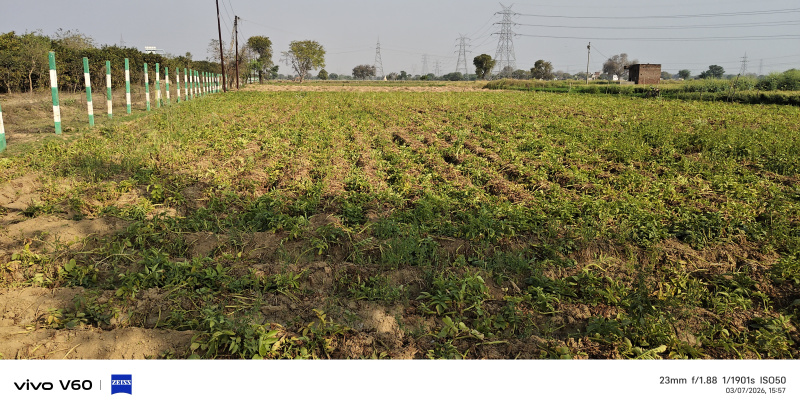  1 Bigha Agricultural/Farm Land for Sale in Fatehabad Road, Agra