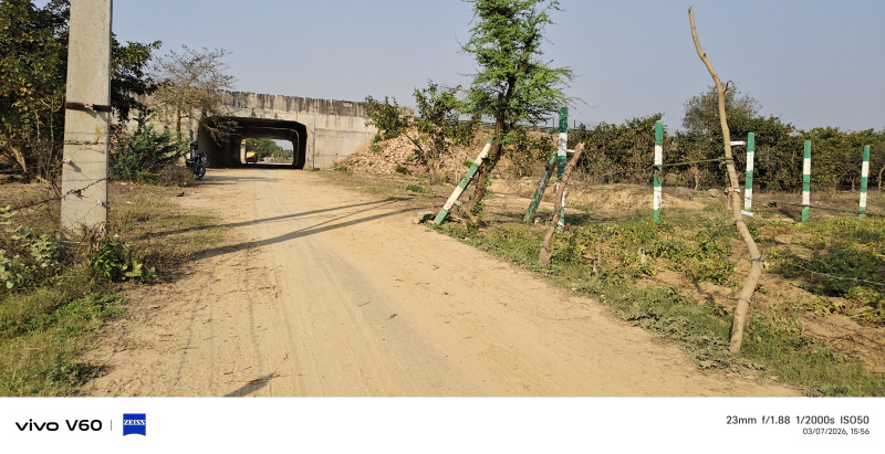  1 Bigha Agricultural/Farm Land for Sale in Fatehabad Road, Agra