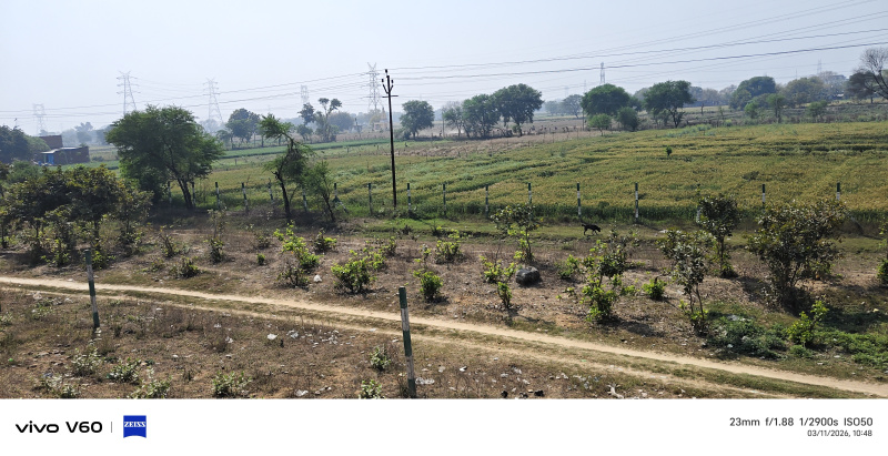  1 Bigha Agricultural/Farm Land for Sale in Fatehabad Road, Agra