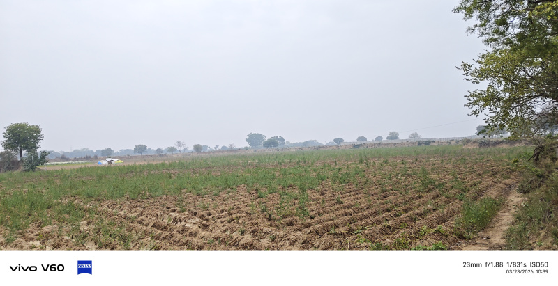  14 Bigha Agricultural/Farm Land for Sale in NH 2, Agra
