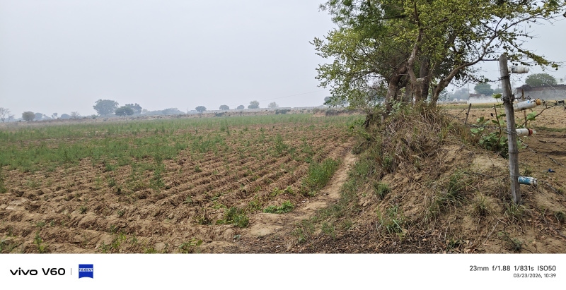  14 Bigha Agricultural/Farm Land for Sale in NH 2, Agra
