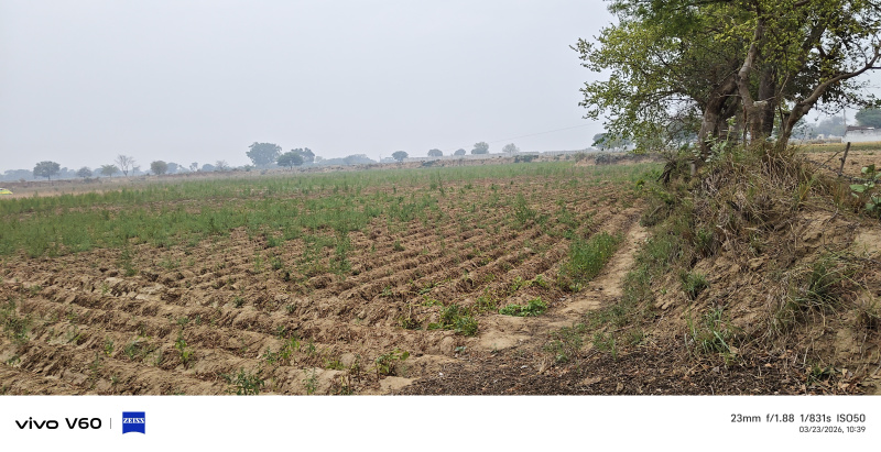  14 Bigha Agricultural/Farm Land for Sale in NH 2, Agra