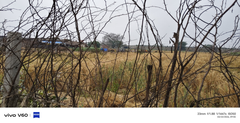 1 Bigha Agricultural/Farm Land for Sale in Fatehabad Road, Agra