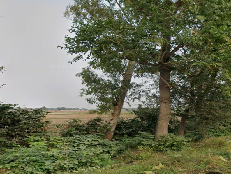  3 Bigha Agricultural/Farm Land for Sale in Fatehabad Road, Agra