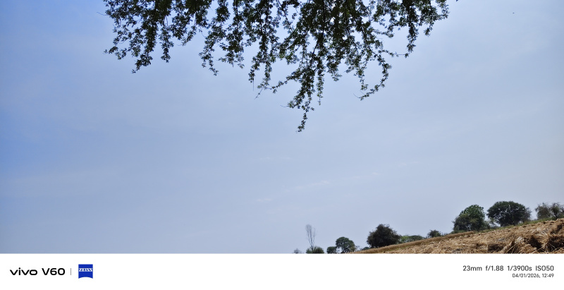  45 Bigha Agricultural/Farm Land for Sale in Etmadpur, Agra