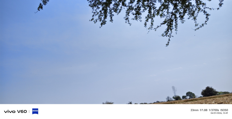  45 Bigha Agricultural/Farm Land for Sale in Etmadpur, Agra