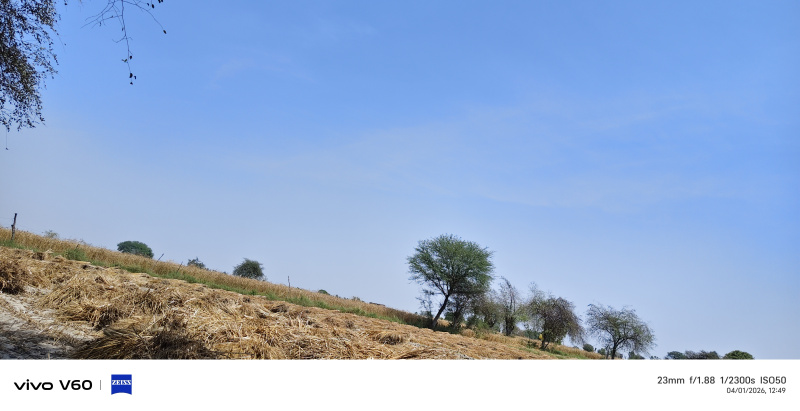  45 Bigha Agricultural/Farm Land for Sale in Etmadpur, Agra