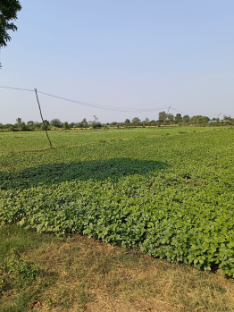  Industrial Land for Sale in Pithampur Industrial Area, Dhar