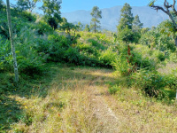  Residential Plot for Sale in Kurseong, Darjeeling