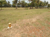  Residential Plot for Sale in Mannargudi, Thiruvarur