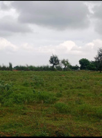 Agricultural Land for Sale in Fagi, Jaipur