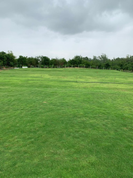  Agricultural Land for Sale in Shahpura, Jaipur