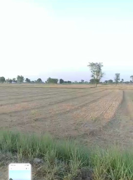 1.5 BHK 23 Bigha Farm House for Sale in Govindgarh, Alwar