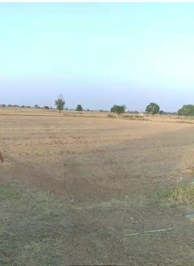 1.5 BHK 23 Bigha Farm House for Sale in Govindgarh, Alwar