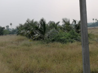 1 RK Farm House for Sale in Ponnamaravathi, Pudukkottai