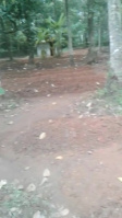  Residential Plot for Sale in Kodakara, Thrissur