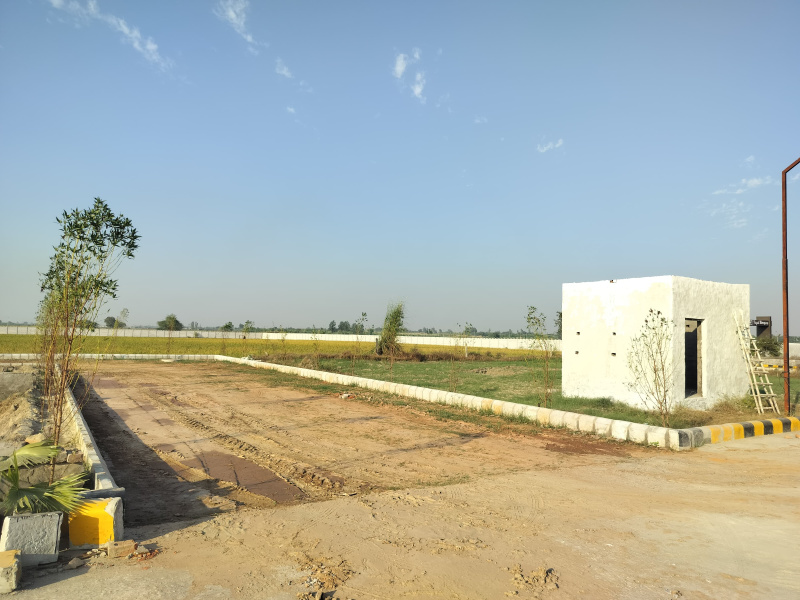  Residential Plot 150 Sq. Yards for Sale in Yamuna Expressway, Greater Noida