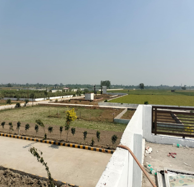  150 Sq. Yards Residential Plot for Sale in Dankaur, Gautam Buddha Nagar