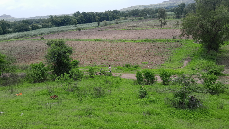  Agricultural Land 98 Guntha for Sale in Taluka Velhe, Pune