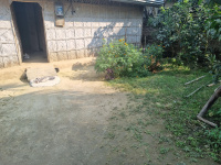  Residential Plot for Sale in Lumding, Hojai