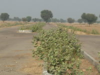  Residential Plot for Sale in Devi Nagar, Jaipur