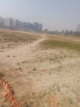  Agricultural Land for Sale in Noida-Greater Noida Expressway